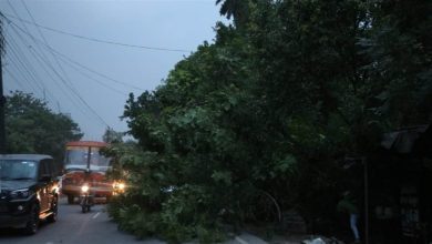 Photo of मेरठ में आफत की आंधी, एक ही दिन में 150 पेड़ और 90 बिजली के पोल गिर गए