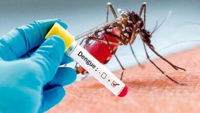 Photo of भारत 2023 में डेंगू से सबसे अधिक मौतों वाले देशों में शामिल : रिपोर्ट