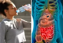 Photo of Plastic Bottle Side Effects :पानी नहीं जहर पी रहे हम… एक लीटर बोतलबंद पानी में 2.4 लाख प्लास्टिक के टुकड़े; शोध में हुआ बड़ा खुलासा
