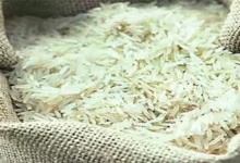 Photo of Basmati Rice -क्या इस साल बासमती चावल की जंग में भारत पाकिस्तान से हार सकता है ?