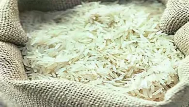 Photo of Basmati Rice -क्या इस साल बासमती चावल की जंग में भारत पाकिस्तान से हार सकता है ?