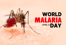 Photo of World Malaria Day 2024: दिख रहे हैं मलेरिया के ये Symptoms, तो तुरंत बचें ,जानें इस साल की थीम