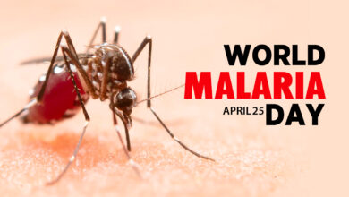 Photo of World Malaria Day 2024: दिख रहे हैं मलेरिया के ये Symptoms, तो तुरंत बचें ,जानें इस साल की थीम