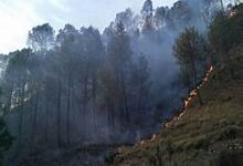 Photo of Uttarakhand-मैदान से लेकर पहाड़ों तक आग ही आग, एक दिन में रिकॉर्ड 52 घटनाएं