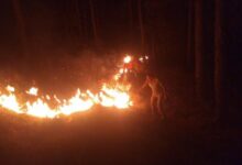 Photo of Dehradoon- वन विभाग के लिए आफत बनती जा रही जगल की बेकाबू आग, अब तक 886 घटनाएं
