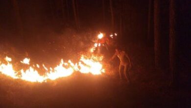 Photo of Dehradoon- वन विभाग के लिए आफत बनती जा रही जगल की बेकाबू आग, अब तक 886 घटनाएं