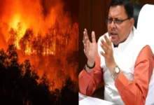Photo of Uk News- उत्तराखंड के जंगलों में आग लगाने वालों पर लगेगा गैंगेस्टर, संपत्ति होगी जब्त