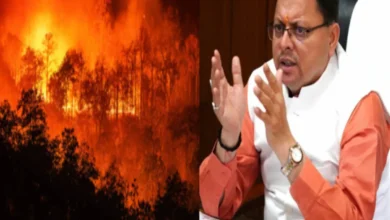 Photo of Uk News- उत्तराखंड के जंगलों में आग लगाने वालों पर लगेगा गैंगेस्टर, संपत्ति होगी जब्त