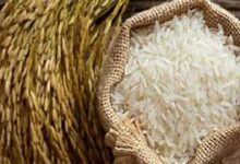 Photo of New Delhi -सरकार ने मॉरीशस को 14 हजार टन गैर-बासमती सफेद चावल के निर्यात की अनुमति दी