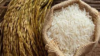 Photo of New Delhi -सरकार ने मॉरीशस को 14 हजार टन गैर-बासमती सफेद चावल के निर्यात की अनुमति दी