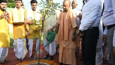 Photo of UP-उत्तर प्रदेश ने 36.50 करोड़ पौधरोपण का लक्ष्य हासिल कर रचा कीर्तिमान : मुख्यमंत्री