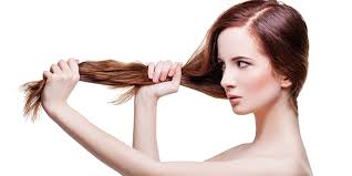 Photo of Hair Treatment: क्या आपके भी झड़ रहे हैं बाल ? तो जरुर आजमाएँ यह उपाय, जड़ से मजबूत बनेंगे बाल