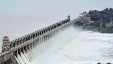 Karnataka's Incident: Gate of Tungabhadra dam in Karnataka washed away, residents warned