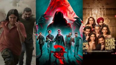 Stree-2 Box Office Collection: 'Stree-2' beats the films 'Khel-Khel Mein' and 'Veda' at the box office