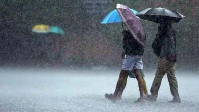 Raipur- 762.1 mm rainfall so far in Chhattisgarh. average rainfall recorded