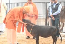 Photo of Gorakhpur: मत हों परेशान, हर समस्या का कराएंगे समाधान- मुख्यमंत्री योगी