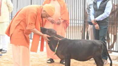 Photo of Gorakhpur: मत हों परेशान, हर समस्या का कराएंगे समाधान- मुख्यमंत्री योगी