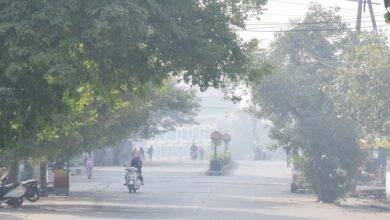 Photo of Madhya Pradesh: मध्‍य प्रदेश में सर्द हवाओं ने बढ़ाई ठंड, बदली स्कूलों की टाइमिंग