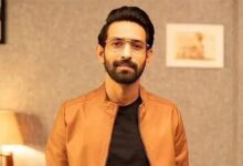 Photo of Vikrant Massey in Don-3 Movie: ‘डॉन-3’ में एक्टर विक्रांत मैसी निभाएंगे विलेन का किरदार