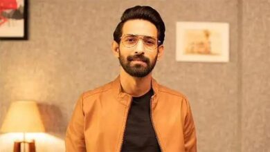 Photo of Vikrant Massey in Don-3 Movie: ‘डॉन-3’ में एक्टर विक्रांत मैसी निभाएंगे विलेन का किरदार