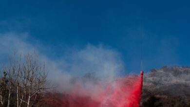 Photo of Los Angeles fire: लॉस एंजिलिस में दावानल से अब तक 24 लोगों की मौत