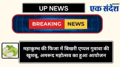 Photo of UP NEWS-महाकुम्भ की फिजा में बिखरी एप्पल गुवावा की खुशबू, अमरूद महोत्सव का हुआ आयोजन