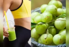 Photo of Amla Juice Benefits: आंवला जूस के यह फायदे जानकार रह जाएंगे हैरान, आप भी जरूर जानें-