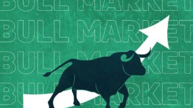 Strong rise in the stock market: Sensex crosses 81,000 points for the first time, Nifty also above 24,500