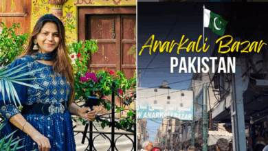 Big revelation in Pakistani espionage case: YouTuber Jyoti Malhotra and four others arrested, investigation into suspicious activities during blackout intensified