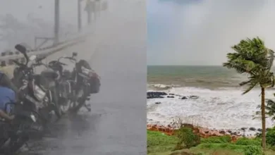 Kerala Monsoon Weather: Monsoon arrived before time for the first time in 16 years, rain wreaked havoc across the country
