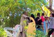 Jhansi News: Woman guard on duty in the park beaten up, video goes viral, police investigating