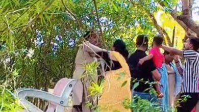 Jhansi News: Woman guard on duty in the park beaten up, video goes viral, police investigating
