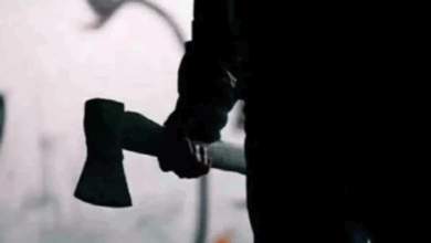 Condition of woman injured by axe is serious, accused brother-in-law is absconding