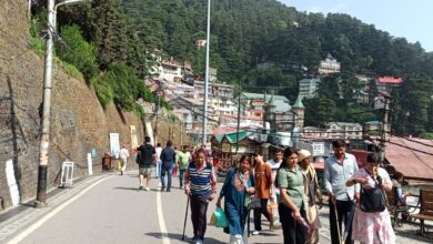 Shimla News: Severe heat wreaks havoc in Himachal, heat wave alert issued till June 14