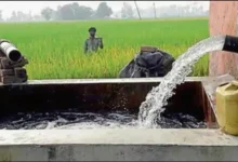 Kaushambhi news: Hundreds of poles and wires of agricultural feeder missing, private tube wells running from rural feeder