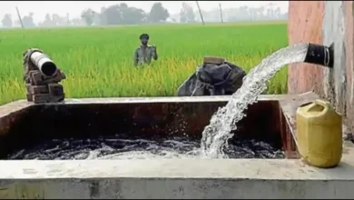 Kaushambhi news: Hundreds of poles and wires of agricultural feeder missing, private tube wells running from rural feeder