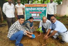 Kaushambhi news: Large tree plantation program completed in Government College Sirathu, Kaushambhi