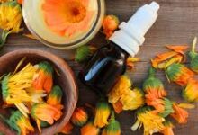 Marigold Skin benefits: Get pink glow from marigold flowers, make Desi Skin Glowing Kit at home