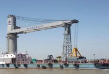 Shreeji Shipping shares fall: Selling pressure on Shreeji Shipping shares after premium listing in stock market