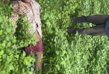 Kaushambhi news: A young man was thrown into the bushes from a moving car, police started investigating