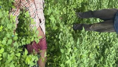 Kaushambhi news: A young man was thrown into the bushes from a moving car, police started investigating
