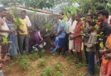 Ped lagao Ped Bachao: Let us plant trees together to save the environment- Sandeep Mishra