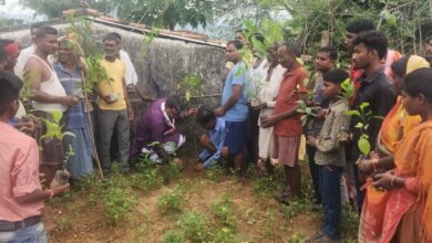 Ped lagao Ped Bachao: Let us plant trees together to save the environment- Sandeep Mishra