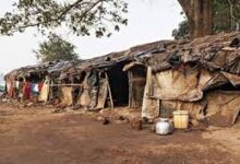 Kaushambhi news: Black game of land mafia on Independence Day in Kaushambi: Poor family's land captured