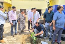 Sultanpur news: Peepal tree replanted in the Autonomous Government Medical College campus