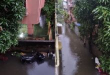 Kolkata submerged: Overnight rain breaks records, disrupts normal life