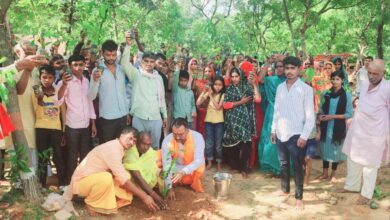 Sonbhadra News: Trees are Life, Campaign reaches 415 villages, plants nearly 75,000 trees