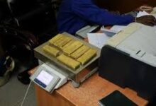 Mumbai news: 10.5 kg gold seized at Mumbai airport, 13 people including eight foreign passengers arrested