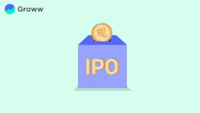 Groww IPO: Groww's mega IPO will open on November 4, listing will be on November 12