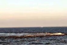 Gujarat coast boiling sea, Arabian Sea methane leak, Gujarat sea bubbles, Palghar sea incident, INCOIS investigation, undersea gas leak India, भूकंप आशंका गुजरात, समुद्र उबलने की खबर